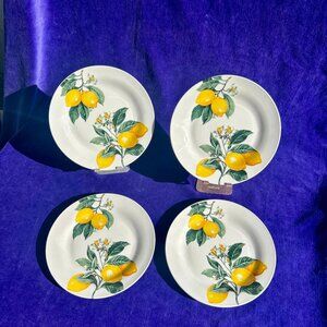 Set of 4 Royal Norfolk Lemon Salad Dessert Plates 7.5” Stoneware Spring
